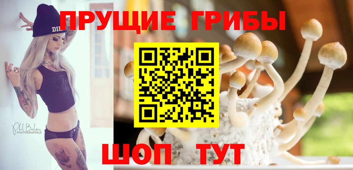 Галлюциногенные грибы Magic Shrooms Нефтеюганск