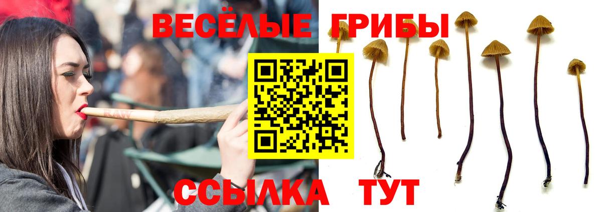 Галлюциногенные грибы мухоморы  Вход с VPN  Нефтеюганск 